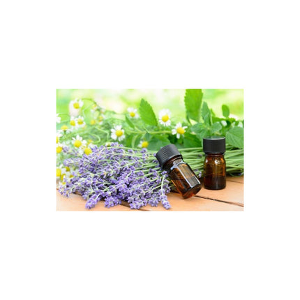 Aceites Esencial Aromático Humidificador Ultrasonico
