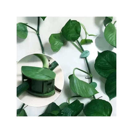 Set De 10 Guias Para Plantas Adhesivas