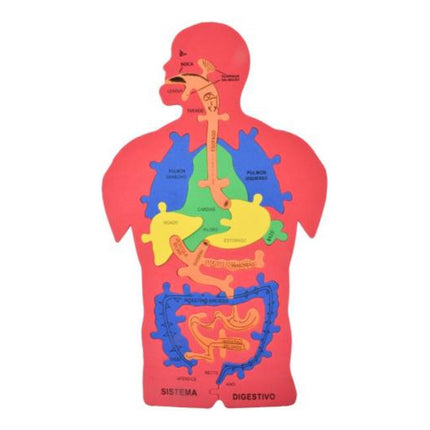Puzzle Goma Eva Cuerpo Humano Sistema Digestivo Didactico