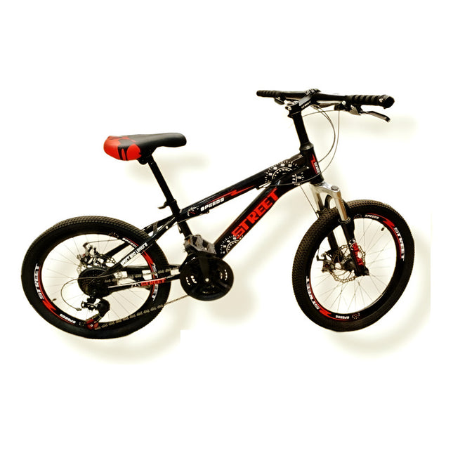 Bicicleta Rodado 20 Street V