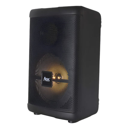 Parlante Portable Aek 8 S-10808 Negro