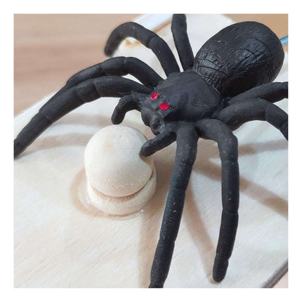 Caja De Madera Con Araña X